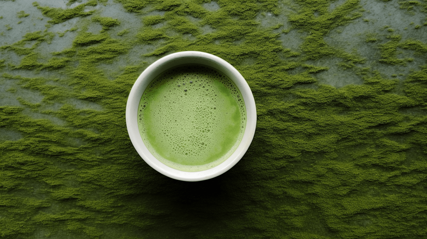 An image of a green cup of matcha on a simple patterned background